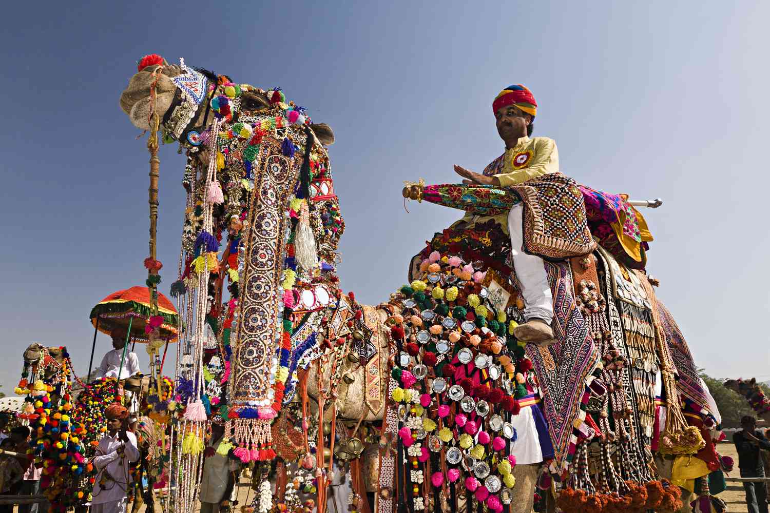 Pushkar Camel Fair India