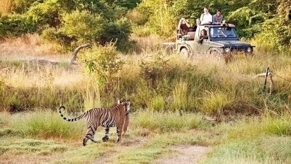 Kumbhalgarh Wildlife Sanctuary