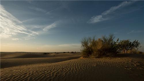 Desert National Park - Jaisalmer Wildlife Sanctuary