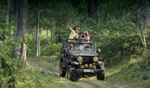 Sanwariya Tour and Taxi Kerala Jeep Safari