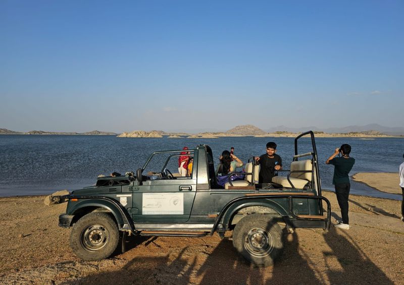 Jawai Leopard Safari