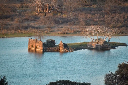 Surwal Lake - A Birdwatcher's Paradise in Ranthambore